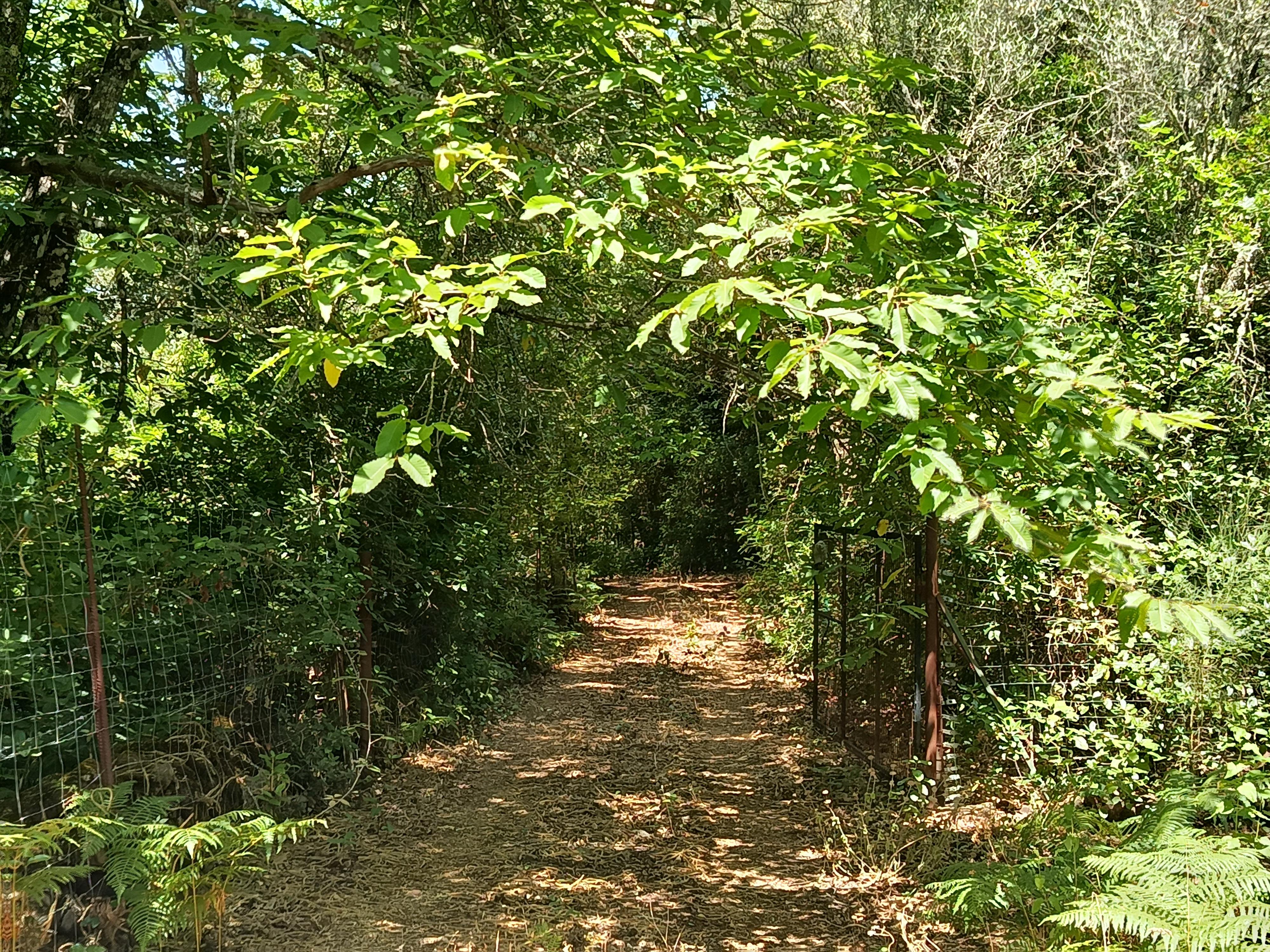 Finca rústica en Parque Natural con pozo en proceso de legalización.