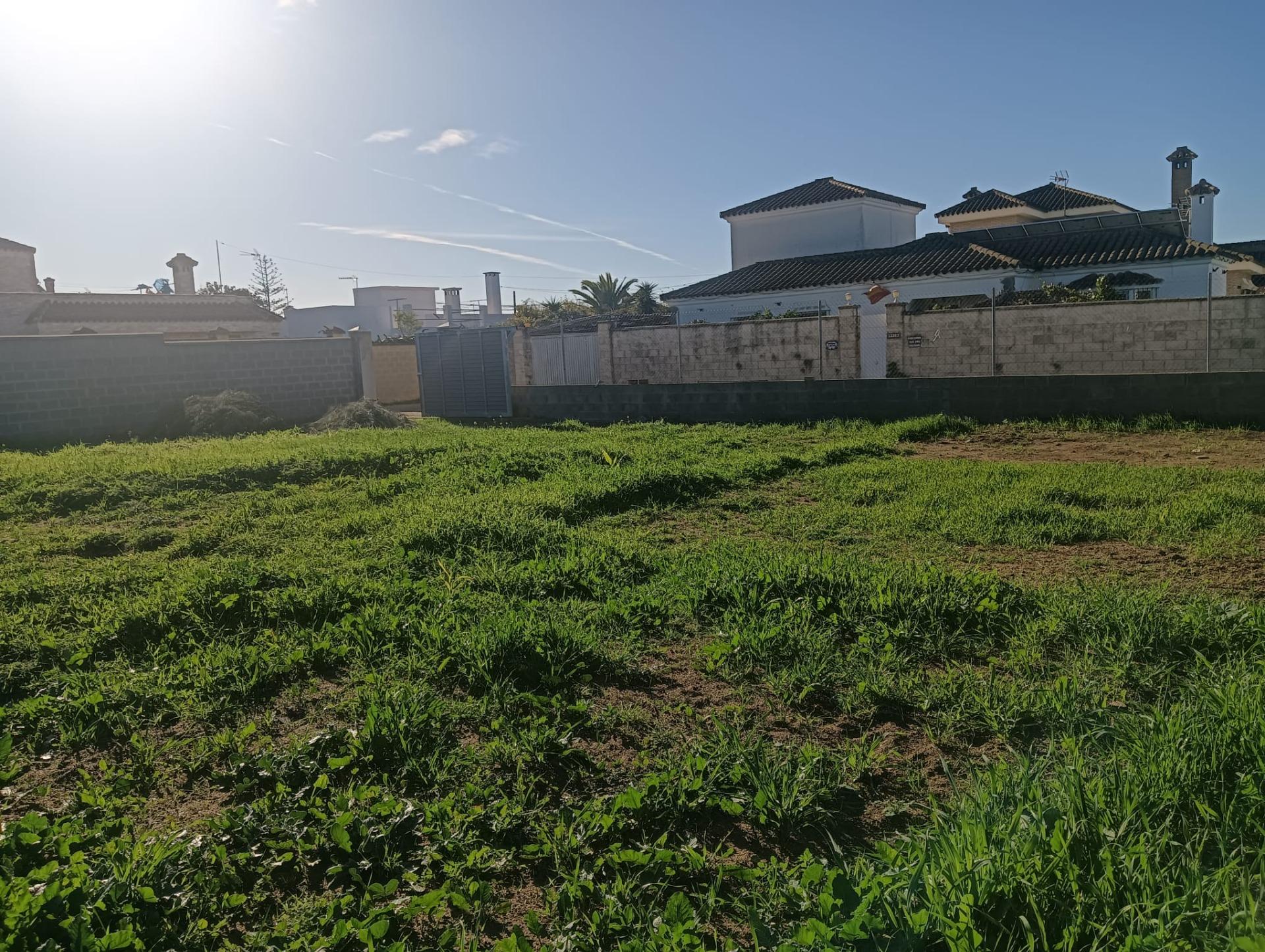 Parcela rústica de 478 m² en Hijuela Tío Prieto